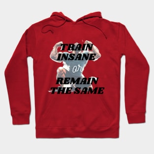 WORKOUT: TRAIN INSANE OR REMAIN THE SAME! Hoodie